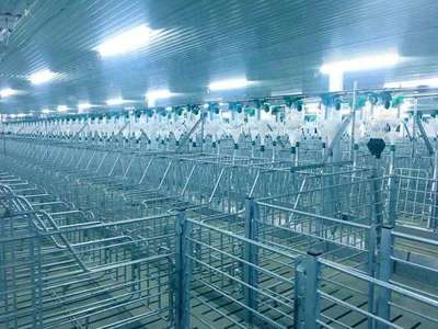 171天，見證希望速度 嘉祥7500頭母豬場(chǎng)項(xiàng)目順利竣工