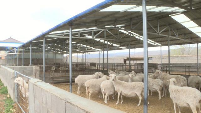 會寧 特色養(yǎng)殖讓鄉(xiāng)村振興“畜”勢勃發(fā)——現(xiàn)代化牧場工程設(shè)計(jì)引領(lǐng)產(chǎn)業(yè)升級